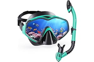 Dorlle Dry Snorkel Set Adults, Tempered Glass Snorkel Mask Anti-Fog Panoramic Wide View Mask and Anti-Leak Premium Dry Snorkel Tube for Youth and Adults