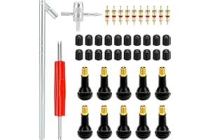 QWORK® Kit de Dépose de Valve Pneu 33Pcs pour Voiture Moto Velo - Comprend 10 Tiges TR413 et 10 Noyaux de Valve en Cuivre Pur