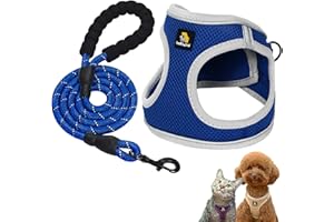 BELLA & PAL Juego de arnés y correa de cuerda para perro, arnés para cachorros, malla de aire transpirable con tiras reflectantes, chaleco sin tirones para cachorros, perros extra pequeños, azul y