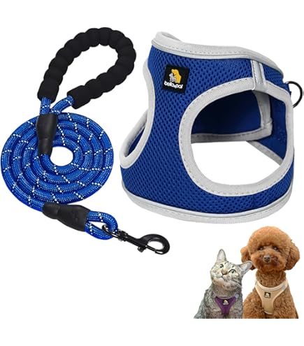 Pettorina Cane Taglia Piccola Con Imbottitura Morbida | Rete Ventilazione | Per Corsa E Training - Foto 13