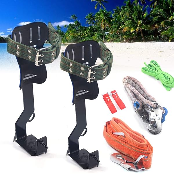 Kit D'escalade D'arbre En Cuir De Vachette - Crampons, Sangles, Gants - Poids Max 150 Kg, Réglable 39-45 Cm - Pour Chasse, Cueillette, Travail En Hauteur