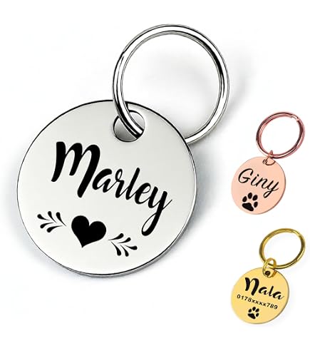 lyl Targhetta d'identificazione per Animali Domestici, in Acciaio Inox, Incisione Personalizzata Fronte/Retro, per Gatto e Cane, Forme Squillare (Argento, M lyl Targhetta d'identificazione per Animali Domestici, in Acciaio Inox, Incisione Personalizzata Fronte/Retro, per Gatto e Cane, Forme Squillare (Argento, M