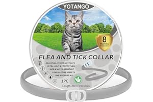 YOTANGO Collier Anti Puces pour Chat, Collier Anti Puces et Tiques pour Chats Imperméable, Collier Anti Puce Chat Réglable 8 Mois de Protection Naturelle Anti Tique pour Chaton Moyen et Grand Chats-Gris