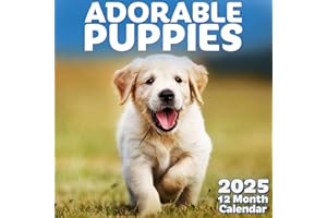 12 Month Wall Calendar 28 x 43 cm (Open) - Hanging Wall Calendar - Adorable Puppies 2025 Calendar Year - Monthly Calendar by EcoEarth