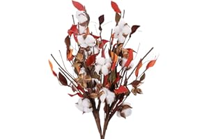 HUAESIN 2pcs Fiori Secchi Naturali Cotoni Composizione Fiori Secchi per Decorazioni Fiori di Cotone Naturali per Inverno Bouquet Fiori Secchi per Casa Soggiorno Cucina Rosso