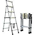 BRIEFNESS Telescoping Step Ladder Aluminum Folding Stepladder 4+5 Steps Max 150kgs Capacity A-Frame Multipurpose Ladder for Indoor and Outdoor Household