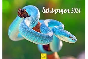 ‎EDITION SEIDEL Edition Seidel Premium Kalender Schlangen 2024 Format DIN A3 Wandkalender Schlangenkalender Weltweit Schlange Reptilien Schuppenkriechtier