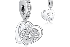 NINGAN 16,18,21,30,40,50,60 Abalorios Charms Colgantes de Encanto familia eterna Cuentas Plata de Ley 925 con Compatible con Pulsera Charms para Mujer Niña