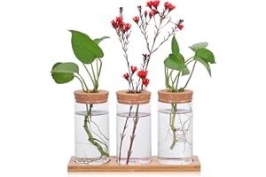 ‎FENTAR Fentar Propagation Station mit Holzsockel - 3 kleine Vasen für Tischdeko, hydroponische Vase mit Stecker, Vermehrungsstation für Hydrokultur