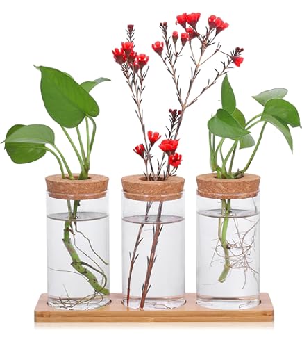 Houten plantenpot voor binnen? Voor welke plantenpot kies jij