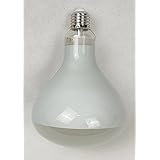 Lampadina dimmerabile R125 a LED 11W Luce calda 2700k flusso luminoso 1055lm. Ideale per la sostituzione della lampadina Pare