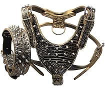 Hundegeschirr & Halsband-Set Aus Leder – Mit Nieten, 3-teilig | Für Große Rassen Wie Pitbull, Mastiff, Boxer | Größe M, Farbe Weiß