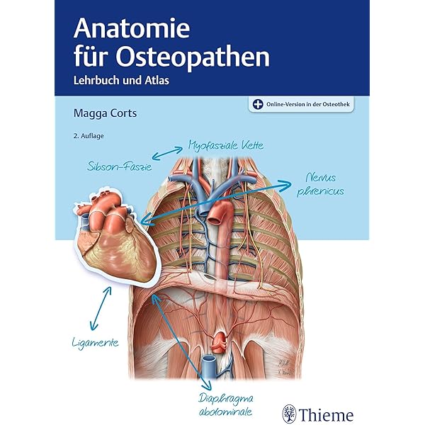 Viszerale Osteopathie : De Coster, Marc, Pollaris, Annemie: Amazon