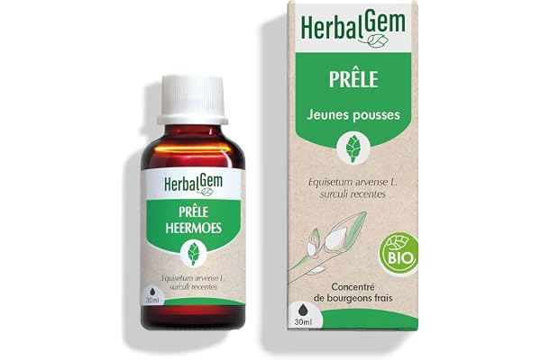 HERBALGEM - Macérât-Mère - Prêle Bio - Complément Alimentaire Gemmothérapie Concentrée - Extrait De Bourgeon Frais - Pour Articulations - Vegan - 30 ml