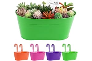 BOFUNX 4 PCS Maceta de Metal Colgante con Soporte Extraíble Cubo Macetero Plantador con Gancho Doble Decoración Exterior Balcón Jardín Patio Pared Terraza para Flores y Plantas