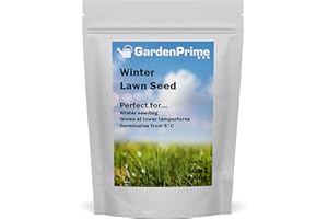 GardenPrime Winter Lawn Seed - 50 m2-875g Premium Durable Grass Seed for Colder Weather, Fast Germination, Perfect for overseeding, Patch Repairs, New lawns - 50m2