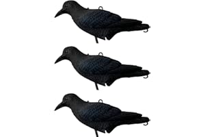 GMM Corvo Nero Gigante il Più Realistico, 43cm, Scaccia Piccioni, Spaventapasseri da Giardino, Spaventa Piccioni, Repellente Piccioni, Deterrente x Uccelli, per Esterni Giardino (3)