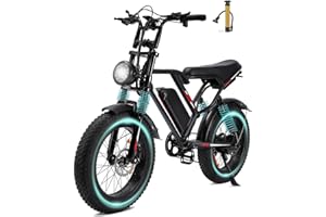 Kalorace Bici Elettrica per Adulti, Autonomia Massima di 50-80-100Km, Bici Elettrica con Pneumatici Fat da 20", Neve, Sabbia e Strada.