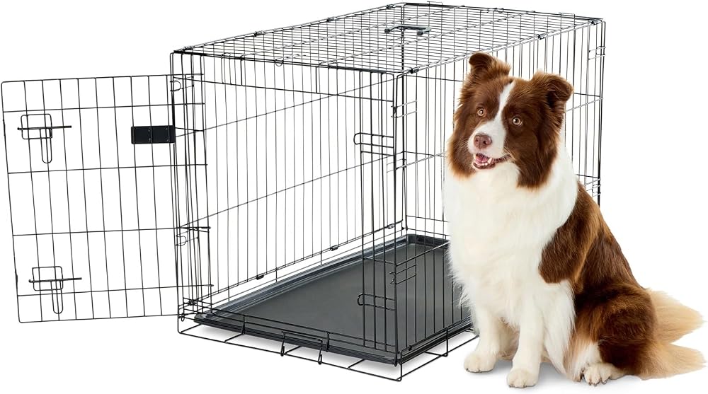 Carlson Pet Products Güvenli ve Katlanabilir Tek Kapılı Metal Köpek Kasası, Orta