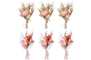 Lithyc 6 pezzi Fiori Secchi Per Bomboniere - Fiori Essiccati Decorativi - Mini Bouquet Secchi - Adatto Per Vasi, Artigianato, Corsage, Matrimoni, Decorazione Di Oggetti Fotografici Fai Da Te, Ecc
