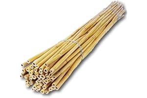 BeeCasa by Hiss Reet® Schilfrohrhalme EXTRA | Naturbelassener Bund | Insektenhotel & Bienenhotel Füllmaterial | Niströhren & Nisthülsen für Wildbienen