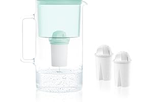 Wessper Caraffa Filtrante 2,5 litri, set di caraffa filtrante vetro con 2 filtri classic, caraffa acqua compatibile con Brita Classic, Dafi Classic – Menta