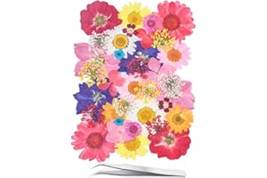 YoothBro Flores prensadas secas para moldes de resina, flores prensadas naturales reales para manualidades, fabricación de velas, decoración de uñas, fabricación de jabón, fundas para teléfonos