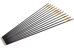 SUREPROMISE ONE STOP SOLUTION FOR SOURCING SurePromise Archery Fiberglass Arrow 12 PCS Field Point Target Practice 28" 30" 32"