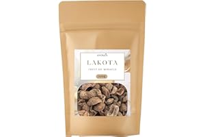 AYOMIN Lakota - Baies Séchées, 50g