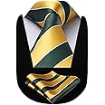 HISDERN Ties for Men - 63 inch Extra Long Necktie and Handkerchief Wedding Tie and Pocket Square Set For Party Business Funeral