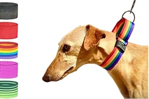 bub's Collar Martingale - Collar para Perro, antialérgico y Suave.Diseñado para Todo Tipo de Razas de Perro y Especialmente para Galgos y Podencos (Rainbow, L 40 mm Ancho)