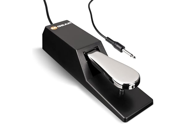 M-AUDIO SP-2 - Pédale de Sustain Universelle de Type Piano pour des Claviers Électroniques, Contrôleurs MIDI, Pianos Numériques, Synthétiseurs, Orgues et Plus Encore