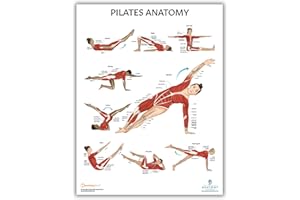 Pilates Anatomy Poster, LAMINATED, Pilates Wall Chart, 17.3 x 22.5 Inches, Anatomy and Physiology Poster, Physical Education Poster, Wall Pilates Exercise Chart, Workout Poster, Made by Anatomy Lab