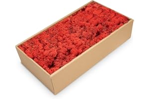 NaDeco Islandmoos Rot, konserviert, verpackt im Karton mit ca. 500g | Moos zum Basteln und Dekoration | Moosbild selber Machen | Rentier Moos | Rendier Moos | Deko Moos | Bastel Moos | Dekomoos