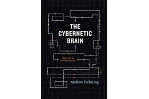 The Cybernetic Brain: Sketches of Another Future