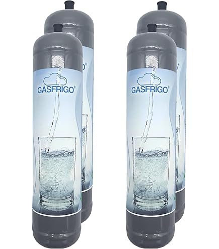 2 Bombole CO2 600g Per Gasatore Acqua - Attacco M11x1, Non Ricaricabili