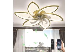 ‎REVNEEY LED Deckenventilator Mit Beleuchtung, 66W Dimmbar (3000K-6000K) Deckenleuchte Mit Ventilator, Leise Reversibel Deckenventilator Mit Lampe Für Wohnzimmer Schlafzimmer Esszimmer Gold,6 Köpfe 78x15cm