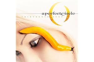 Thirteenth Step