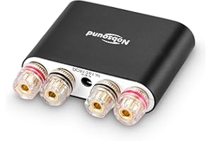 Nobsound NS-10G PRO Stereo Verstärker, Hi-Fi DSP 100W x 2 Bluetooth 5.0 Empfänger, 2.0 Kanal Power Audio Amplifier für Heimlautsprecher Upgrade Version Mini Digitalverstärker (Schwarz)