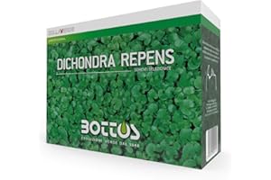 Bottos Semences pour la pelouse Dichondra Repens 0,5 kg