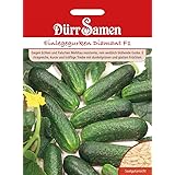 Dürr Samen 1029 Einlegegurke Diamant F1 (Einlegegurkensamen)