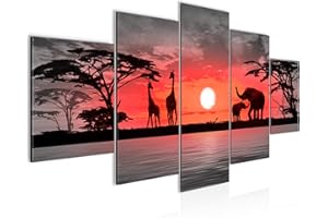 Runa Art África Puesta De Sol Cuadro Lienzo no Tejido 5 Piezas Jirafa Elefante Naranja Dormitorio Corredor 000253b
