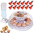 MUALROUS Incubators for Hatching Eggs, 12-24 Egg Incubator with Automatic Egg Turning and Humidity Control, Automatic Water Adding for Hatching Chickens, Duck, Quail, Goose Eggs