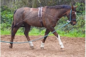 Aces Equine Ayuda para entrenamiento de caballo con rodillo de cuerpo, talla única, color negro y marrón (negro).