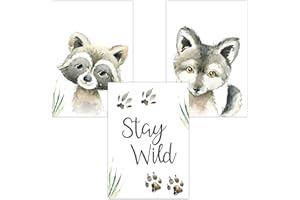 Olgs Set di 3 poster da parete per cameretta dei bambini, formato DIN A4, decorazione da parete per cameretta dei bambini, animali della foresta Stay Wild Procione lupo