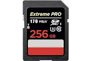 ETEKCITY Scheda SD, Schede SD da 256 GB Scheda di Memoria Extreme Pro SDXC UHS-I, Fino a 170 MB/s, UHS-I, Classe, 10, U3, V30