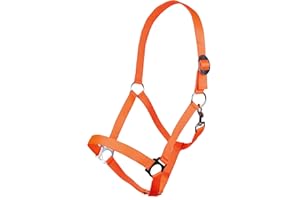 HKM 544144 Halfter Stars Economy Softice