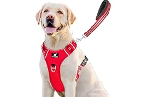TUFFDOG Easy-Fit Dog Harness Large Dog - Fast Release Neck Clip, Premium Padded Reflective No Pull Harness, Adjustable Step-in Dog Vest Plus Free Matching Lead (L, Poppy Red)