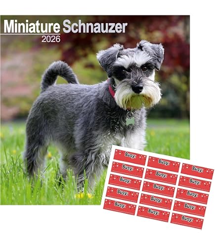 Schnauzer Calendar 2026 - Celebrate The Charming Schnauzer All Year Lo - 11