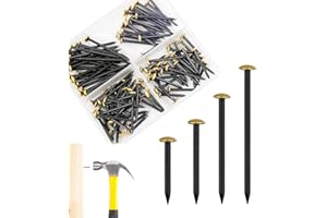 BINLAVA 120 Stk Bildernägel Set (20/25/30/40 mm) –Rostfreie Stahlnägel für bilder – Für Beton, Ziegel, Holz & Putz – Ohne Bohren, schont die Wand – Mit praktischer 4-Fach-Box